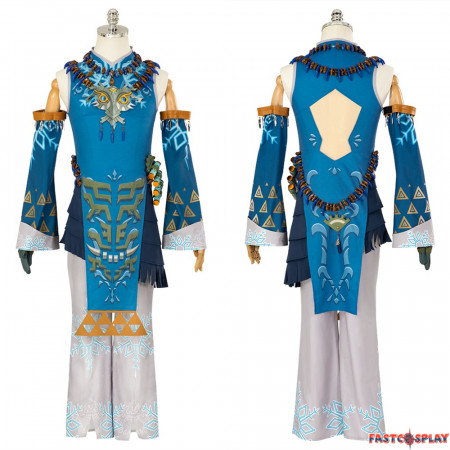 The Legend of Zelda Tears of the Kingdom Link Snowstorm Cosplay Costume