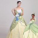 Disney The Princess and the Frog Tiana Princess Dress Cosplay Costume