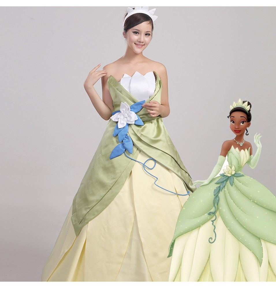 Disney The Princess and the Frog Tiana Princess Dress Cosplay Costume