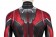 Ant-Man and the Wasp Ant-Man 3D Jumpsuit