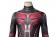Ant-Man and the Wasp Quantumania Ant-Man Jumpsuit