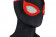 Marvel's Spider-Man 2 Evolve Suit Cosplay Jumpsuit