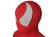 Scarlet Spider Ben Reilly Cosplay Costume