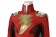 Shazam Fury of the Gods Mary Bromfield Cosplay Costume