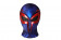 Spider-Man: Across The Spider-Verse Spider-Man 2099 Jumpsuit