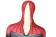 Spider-Man: Far From Home Spiderman Suit 3D Zentai Jumpsuit