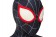 Spider-Man Into the Spider-Verse Miles Morales Zentai 3D Jumpsuit