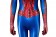 Spider-Man Peter Parker Tobey Maguire 3D Female Jumpsuit