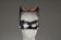 The Dark Knight Rises Catwoman Selina Kyle Cosplay Costume