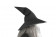 The Lord of The Rings 1 Gandalf The Grey Cosplay Costume