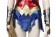 Wonder Woman 1984 Diana Prince Cosplay Costume