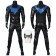 Batman: Gotham Knights Nightwing Cosplay Costume