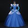 Disney Cinderella Princess Gorgeous Dress Cosplay Costume