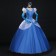 Disney Cinderella Princess Gorgeous Dress Cosplay Costume