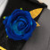 Final Fantasy 7 Sephiroth Blue Rose Night Cosplay Costume