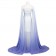 Frozen 2 Elsa Dress Cosplay Costume