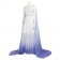 Frozen 2 Elsa Dress Cosplay Costume