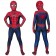 Spider-Man 2 Tobey Maguire Spiderman 3D Kids Jumpsuit
