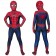 Spider-Man 2 Tobey Maguire Spiderman 3D Kids Jumpsuit
