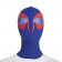 Spider-Man Across the Spider-Verse Spider-Man Cosplay Costume