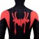 Spider-Man: Into the Spider-Verse Miles Morales Cosplay Costume