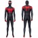 Spider-Man Into the Spider-Verse Miles Morales Cosplay Suit