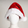 Starry Christmas Female Cosplay Costume