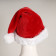 Starry Christmas Female Cosplay Costume