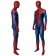 The Amazing Spider-Man Peter Parker 3D Jumpsuit Zentai