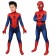 Ultimate Spider-Man Peter Parker Kids 3D Zentai Jumpsuit