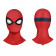 Your Friendly Neighborhood Spider-Man Cosplay Costume